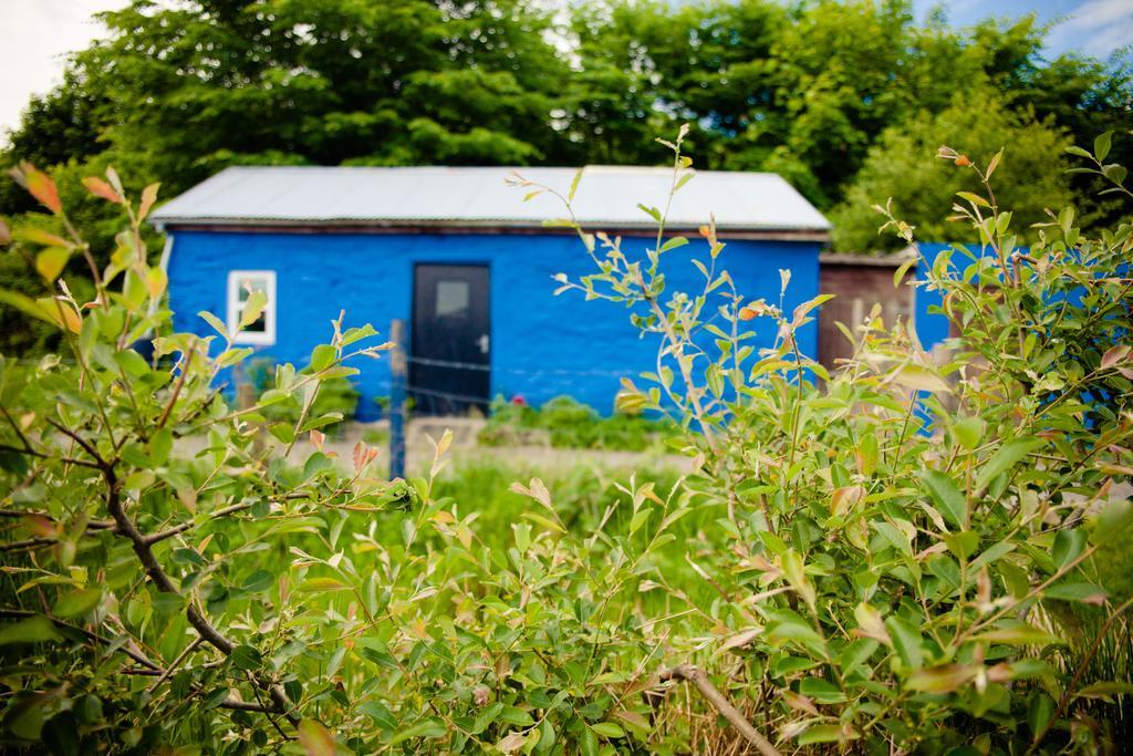 Cwm-y-glo The Snowdon Inn - Y Fricsan الغرفة الصورة